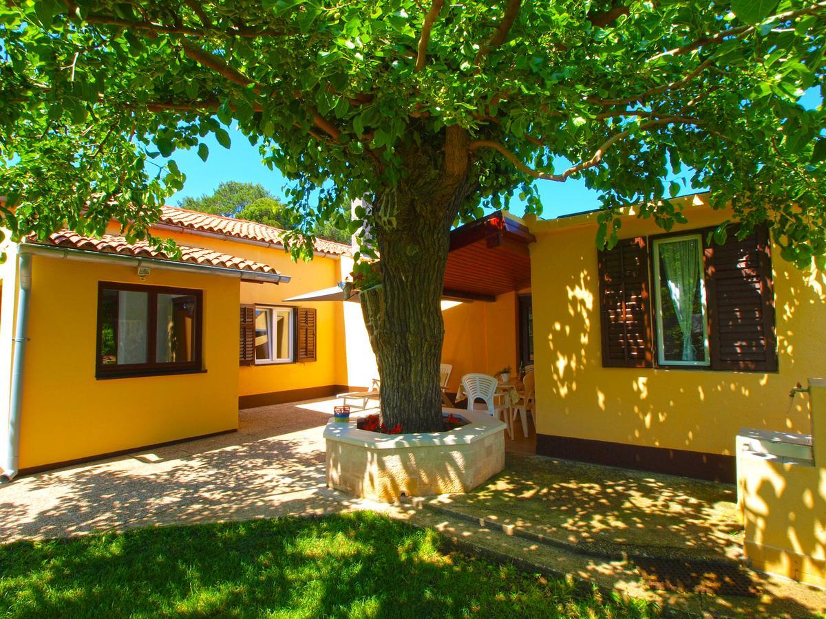 Villa House 1037 à Fažana Extérieur photo
